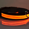 Leads Light Luminous Fluorescent Pet Collar