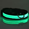 Leads Light Luminous Fluorescent Pet Collar